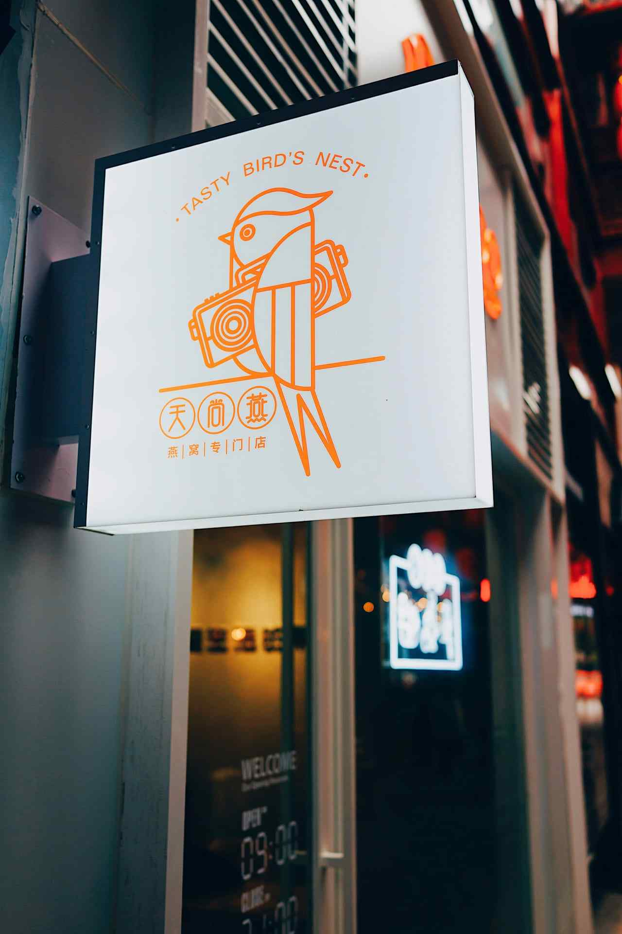 portfolio_12